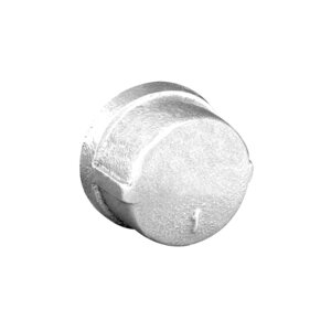 2 in. Galvanized Cap