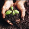 Garden Soil Mix (BC) Bulk (per cu. yd.)