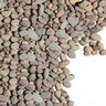 Bulk Montana Rainbow Red River Pebbles (3/4 in.) 20 mm (per cu. yd.)