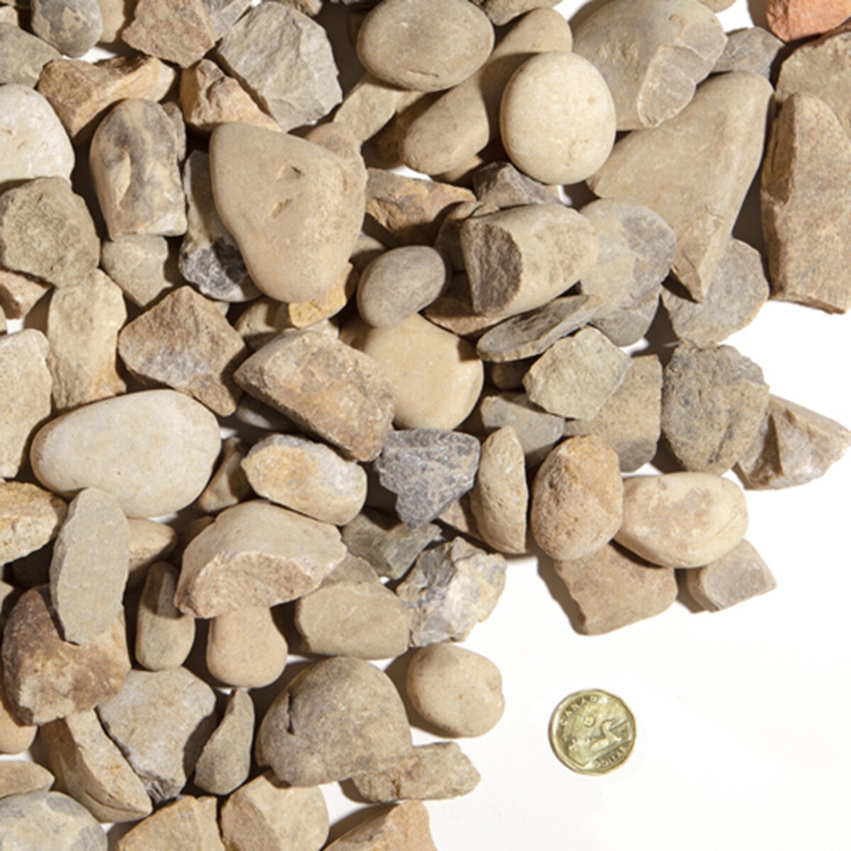 Bulk Crushed Rock 40 mm (per cu. yd.) | SiteOne CA
