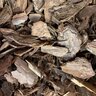 Pine Bark Nugget Mulch 2 cu. ft. Bag