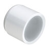 Cap PVC 1/2 in. Socket