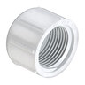 Cap PVC 3/4 in. Fipt