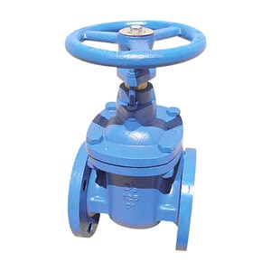 Red-White 415 4 in. Iron Gate Valve Flange