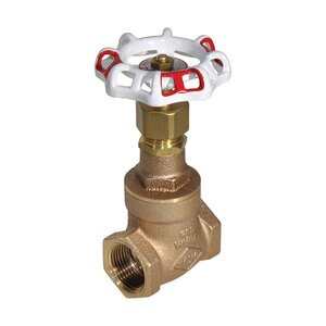 Red-White 1 in. Gate Valve