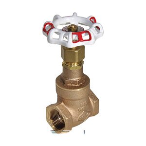 Red-White 2 in. Gate Valve