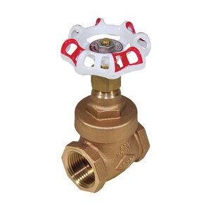2 CL 125 BRZ FIP OB NRS Gate Valve Red-White 206A