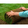 Bluegrass Sod Kentucky Bluegrass 2 ft. x 5 ft. Roll (for Customer Pickup)