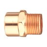 1/2 in. x 3/4 in. Adapter C X M