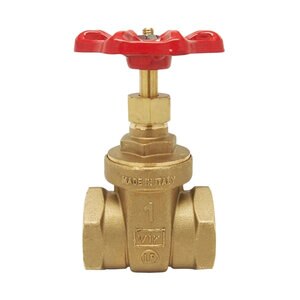 1 in. R&W 206A Gate Valve