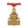 1 in. R&W 206A Gate Valve