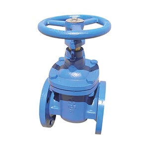 Red-White 415 3 in. Iron Gate Valve Flange