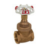 1 CL 125 BRZ FIP OB NRS Gate Valve Red-White 206A