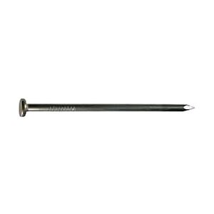 Common Nail/Spike 12 in.