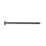 Common Nail/Spike 12 in.