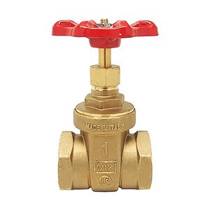 Red-White 267 1 in. Gate Valve