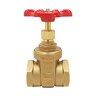 Red-White 267 1 in. Gate Valve