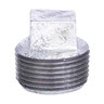 1 in. Galvanized Malleable Iron Plug