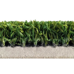 Bella Non-Green Indoor Gym Turf W/5mm Foam Backing