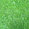 Micro Clover Seed (500 g/1.1 lb.)
