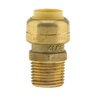 No Lead 1/2 in. Pf X 1/2 in. Mpt Adapter