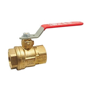 Red-White 5044F 2 in. Threaded Full Port Ball Valve