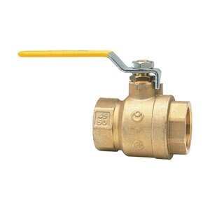 2 in. Full Port Ball Valve FPT Watts 0547107