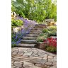 Flagstone Montana Bronze Patio/Steppers 2 - 3 in.
