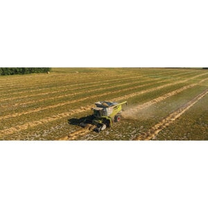 Urban B Seed Mix (10 kg/22 lb. bag)
