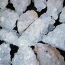 Bella Wonderfill 12/20 Landscape Infill 50 lb. Bag
