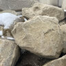 Landscape Boulder Sandstone