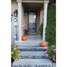 Step Kota Black Limestone Rockface 3 Sides 6 in. x 16 in. x 48 in.