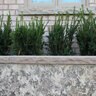 Tread Flint Sandstone Rockface 4 Sides 2 in. x 16 in. x 72 in.