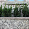 Tread Flint Sandstone Rockface 4 Sides 2 in. x 16 in. x 48 in.