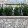 Tread Flint Sandstone Rockface 4 Sides 2 in. x 14 in. x 60 in.