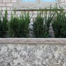 Tread Flint Sandstone Rockface 1 Long 2 in. x 16 in. x 72 in.