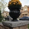 Dimensional Imperial Black Sandstone 1 1/16 in. x 12 in. x 24 in.