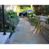 Slab Bronte Sandstone Rockface 4 Sides 2 in. x 48 in. x 96 in.