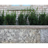 Coping Flint Sandstone Bullnose 1 Long 2 in. x 16 in. x 48 in.