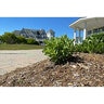100% Cedar Mulch Bulk (per cu. yd.)