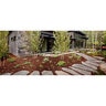 Slab Muskoka Granite Thermal Top Small Random 3 in.
