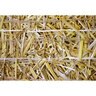 ECB Verdyol Straw Blanket Double Biodegradable Net 8 ft. x 112.5 ft. 