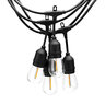 12V BISTRO STRING LIGHT KIT, 12' LENGTH, 6 PCS OF 10-15V E26 1W 100LM, 2700K FILAMENT LED BULB