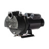 Munro LP Series Self-Priming Pump Cast Iron 3 HP