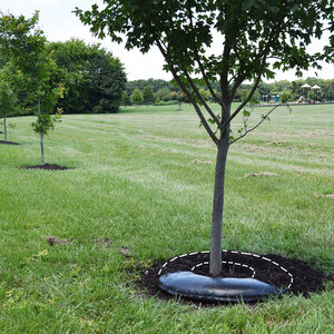 36 in. Round Treemat - Contractor Case