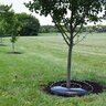 36 in. Round Treemat - Contractor Case