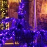 Seasonal Source DuraBright CSA Strand 5MM 50 Light 6 in. Spacing Blue