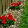 Permaloc Permastrip L-Shaped Aluminum Landscape Edging Mill Finish 3/16 in. x 6 in. x 16 ft.