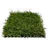 Pro-Trade Meadow Professional Synthetic Turf 65 oz. Face Weight/92 oz. Total Weight 1.75 in. Olive/Spring Green Blades - Green/Brown Thatching