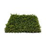 Pro-Trade Apple Light Synthetic Turf 50 oz. Face Weight/71 oz. Total Weight 1.25 in. Apple Green Blades - Green/Brown Thatching